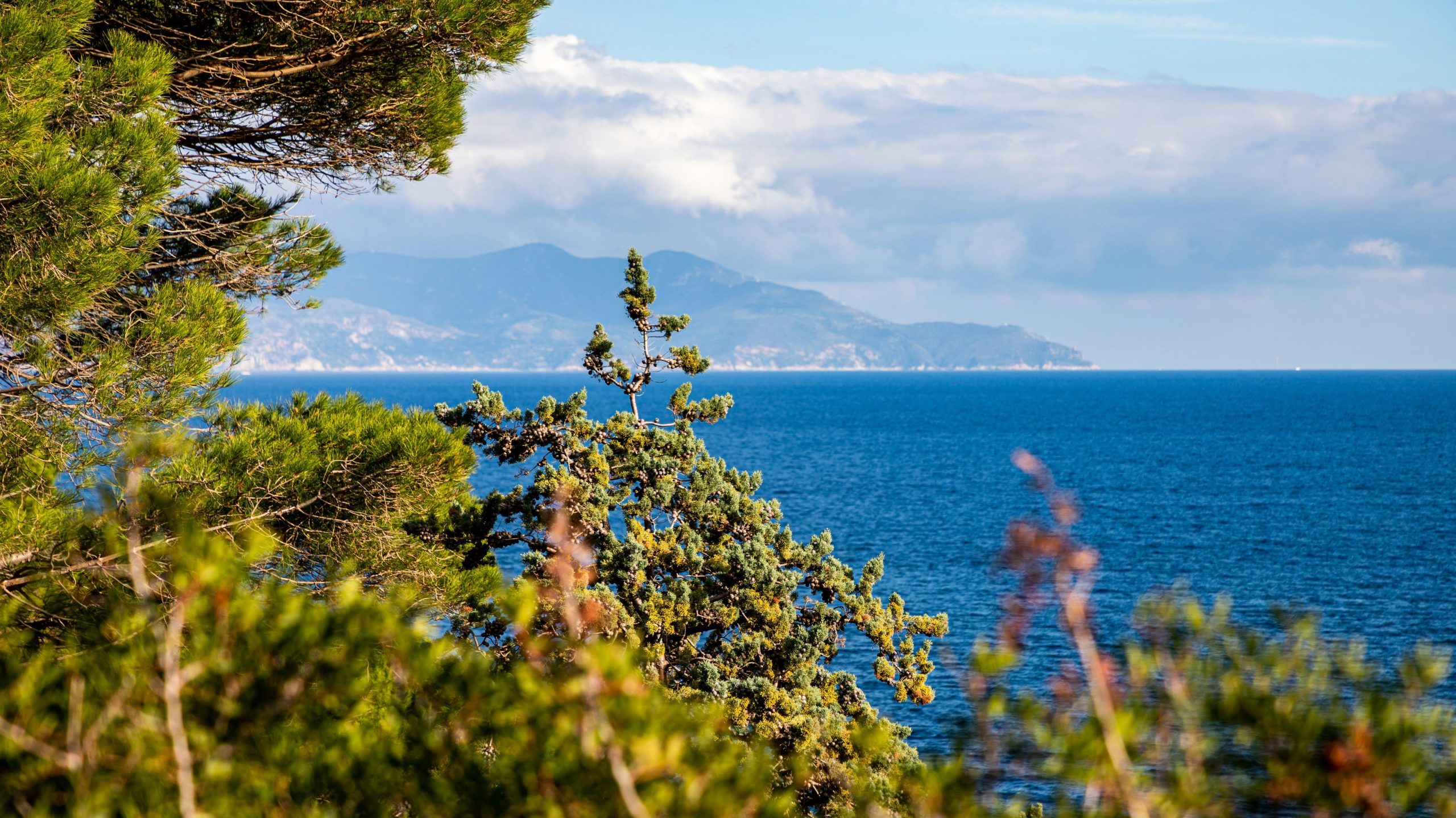 tuscany giglio island