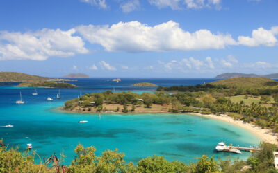 Hidden gems in the Caribbean: Antillean Treasures